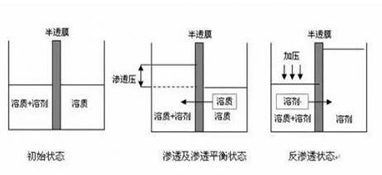 ro膜是什么？為什么說它是凈水器的靈魂？