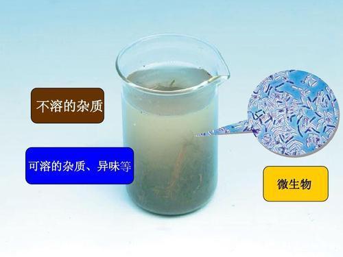 凈水器明明是為了讓水更干凈 為何過濾后卻呈現乳白色？new
