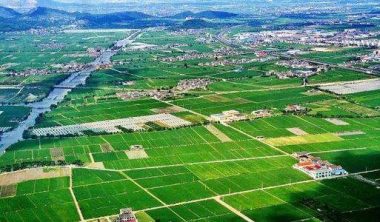 農業農村部 國家鄉村振興局：《社會資本投資農業農村指引（2021年）》