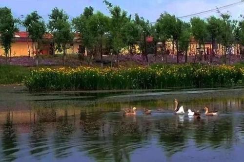 滄州市農村生活污水無害化處理三年行動方案（2021-2023年）