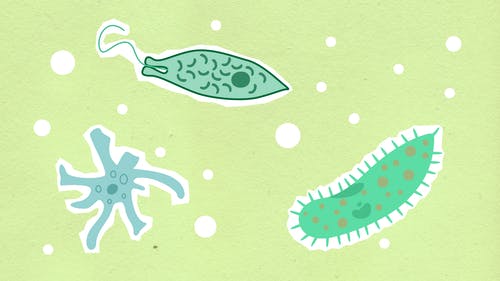 污水處理微生物反應原理及影響因素！
