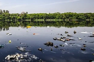 完成治理的部分水體返黑返臭 河長制為何形同虛設？